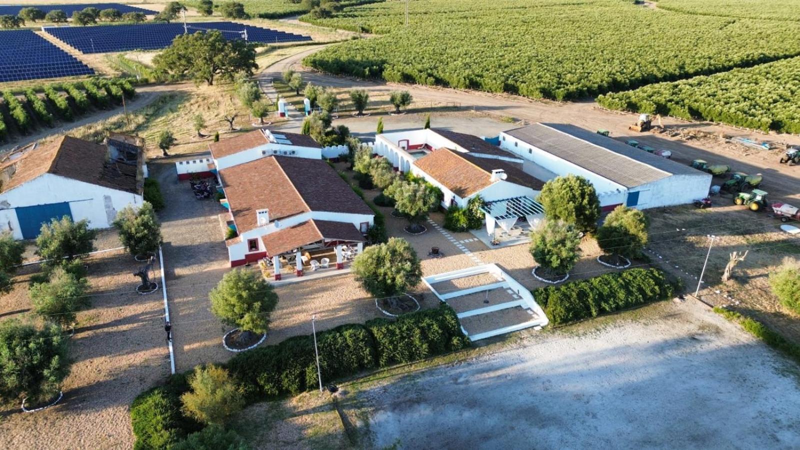 Quinta Da Chamine Hotel Ferreira Do Alentejo Exterior photo