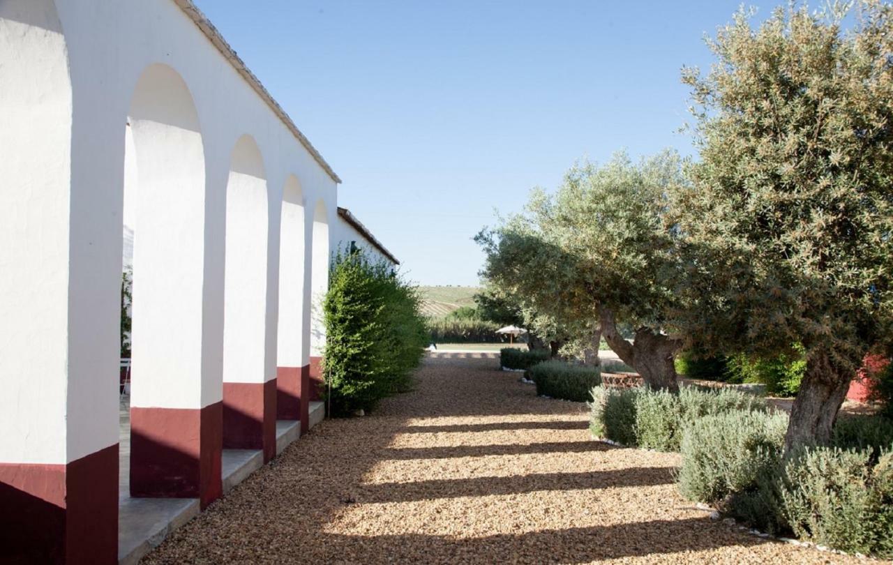 Quinta Da Chamine Hotel Ferreira Do Alentejo Exterior photo